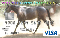 Greg, a feedlot gelding